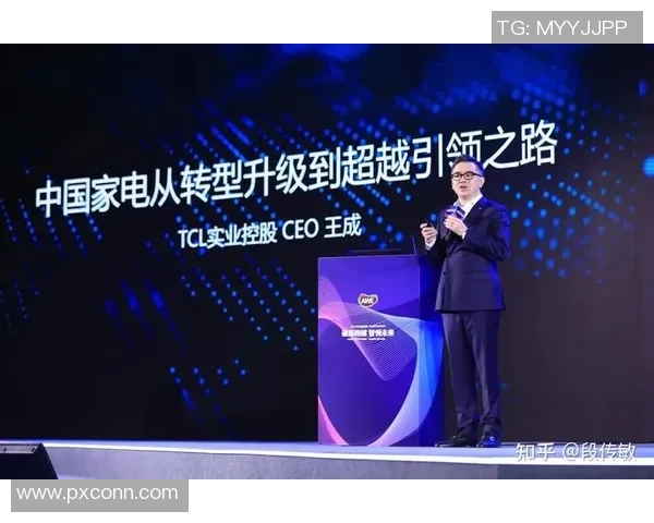 深圳排球队的蜕变与崛起精英赛特别报道揭示转型之路的背后故事